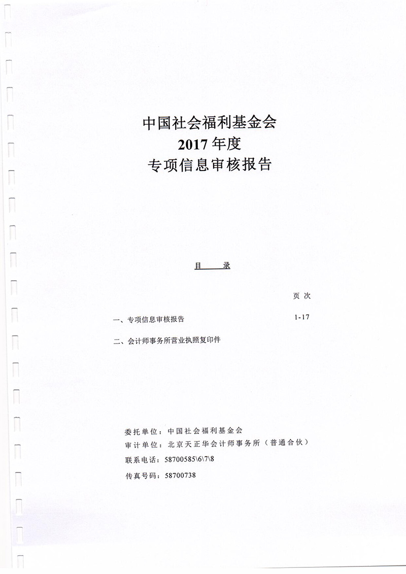 中国社会福利基金会2017年专项信息审核报告_页面_02.jpg